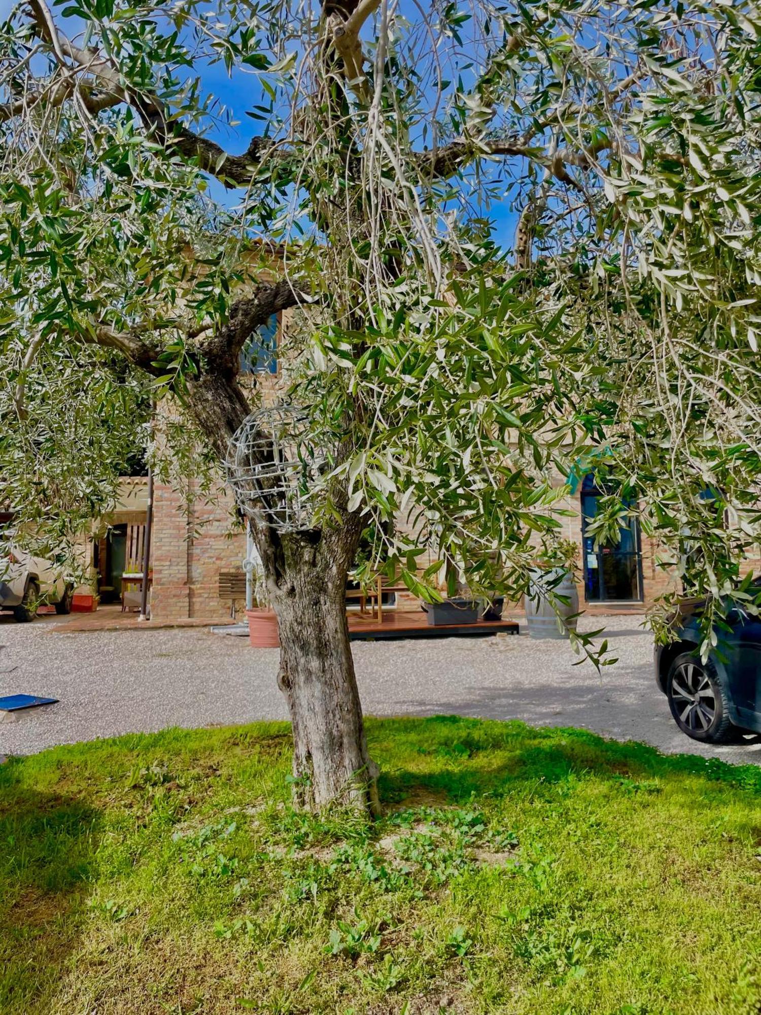 Masseria Tattoni - Residenza Di Campagna - Narramondo Villas Bellante Exteriér fotografie